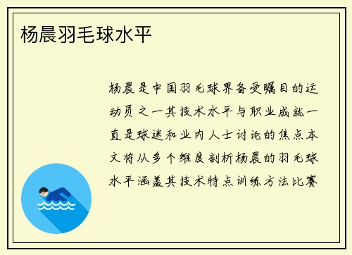 杨晨羽毛球水平