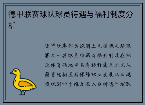 德甲联赛球队球员待遇与福利制度分析